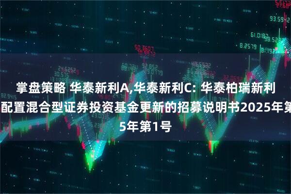 掌盘策略 华泰新利A,华泰新利C: 华泰柏瑞新利灵活配置混合型证券投资基金更新的招募说明书2025年第1号
