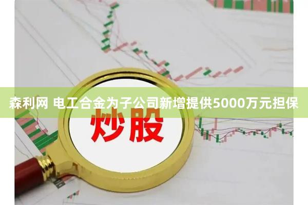 森利网 电工合金为子公司新增提供5000万元担保