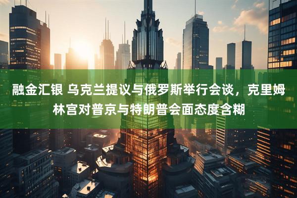 融金汇银 乌克兰提议与俄罗斯举行会谈，克里姆林宫对普京与特朗普会面态度含糊