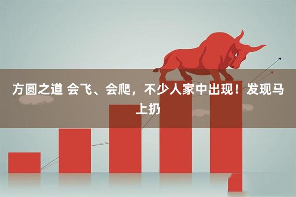 方圆之道 会飞、会爬，不少人家中出现！发现马上扔