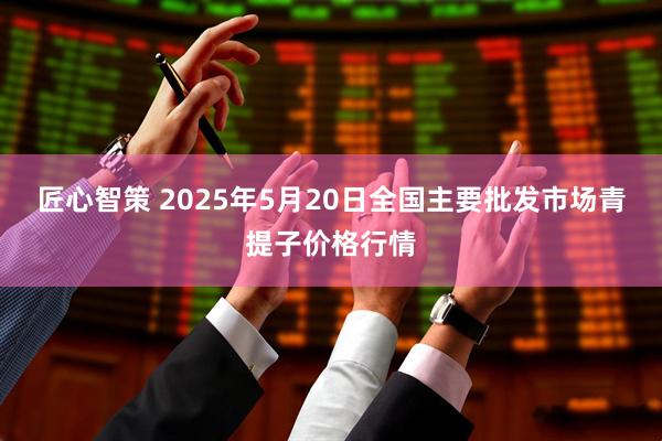 匠心智策 2025年5月20日全国主要批发市场青提子价格行情